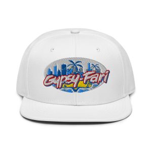 Snapback Hat